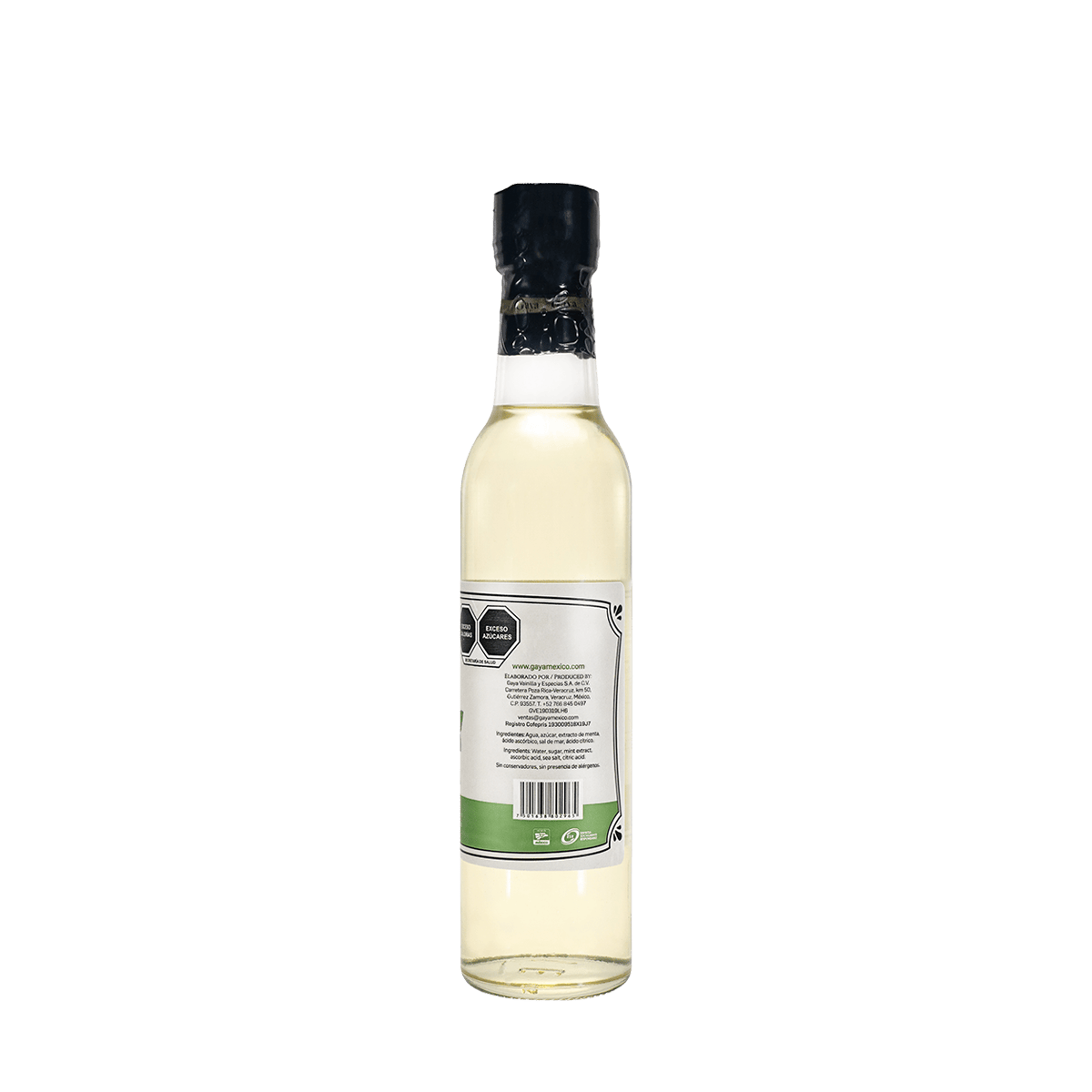1. Jarabe de Menta 250ml 2